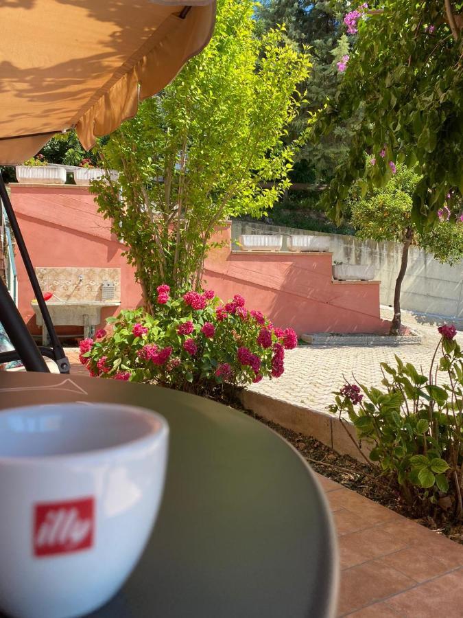 B&B Santa Lucia Silvi Paese Extérieur photo